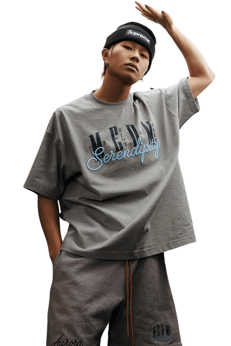 Model wearing the MEDM SS25 Serendipity Embroidery Tee in grey with stylish oversized fit