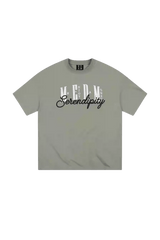 MEDM SS25 Serendipity Embroidery Tee in gray with stylish embroidered text